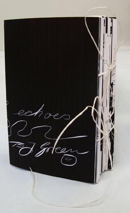 echoes book cover