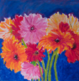 Gerber Daisies