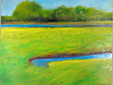 Spring Marsh