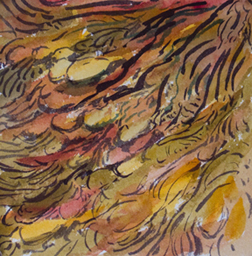 Seaweed