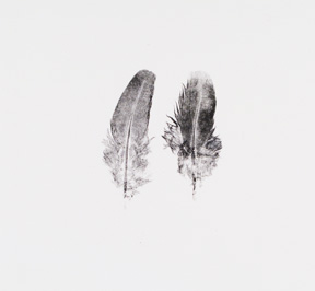 2 Feathers