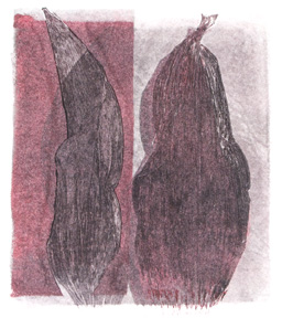 2 Iris Leaves #2