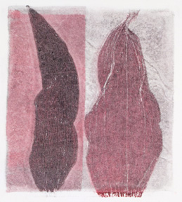 2 Iris Leaves #3