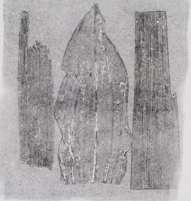 Iris Leaves Shapes #2
