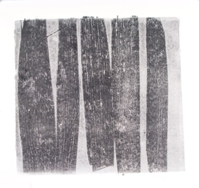 Iris Leaves Strips #3