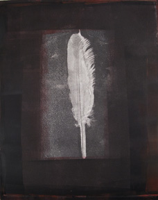 Large Swan Feather #1