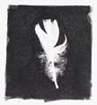 small feather series