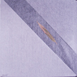 Bamboo Leaf 2