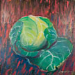 Cabbage