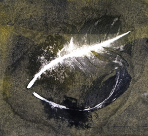 Swanfeather 4