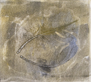 Swanfeather 5
