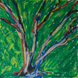Summer Tree