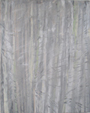 Winter Trees